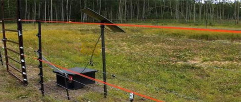 solar fencing